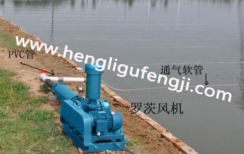 宜興水產養殖現場